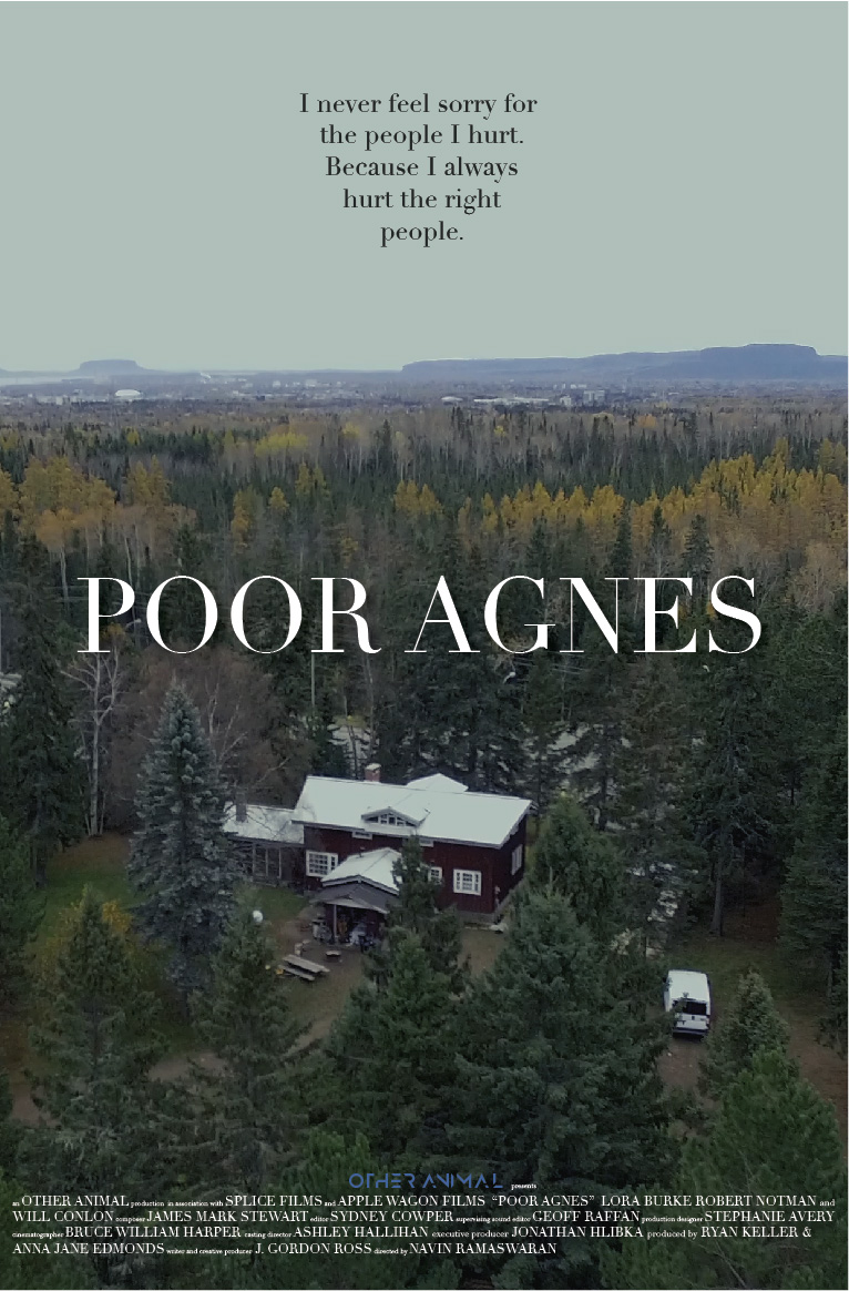 Poor Agnes (2017) постер