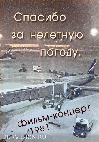 Спасибо за нелётную погоду (1981) постер