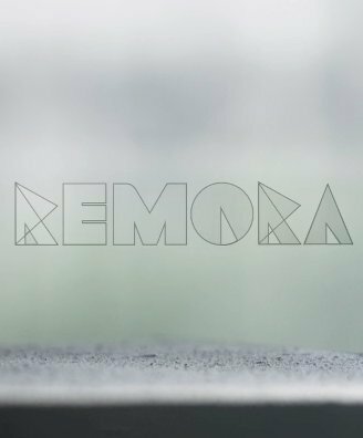 Remora (2014) постер